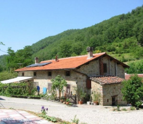 Casa Botena, Vicchio